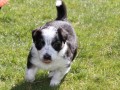 IMG 4974 20