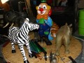 IMG 2308 4